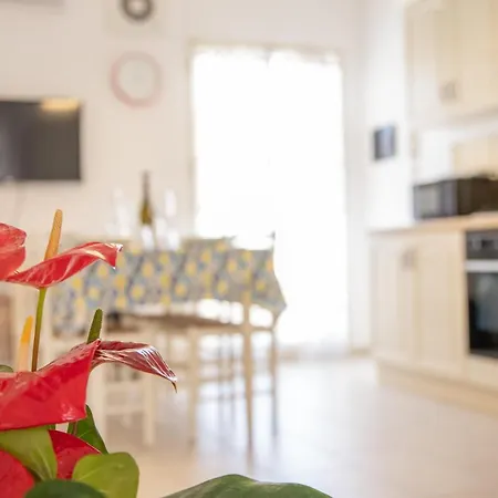Fedelena Appartement