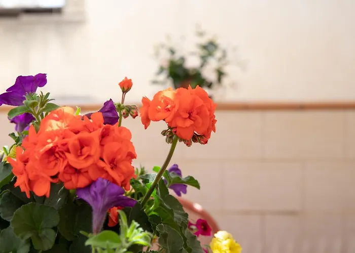 Fedelena Lejlighed *